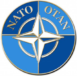 10 PACK - NATO OTAN NORTH ATLANTIC TREATY ORGANIZATION LAPEL HAT PIN